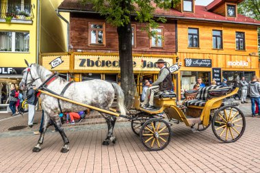 ZAKOPANE, POLAND - AUGUST 17, 2016: Touristic season in Zakopane, city center. Coachman with harnessed horse on the Krupowki street waiting for tourist clipart