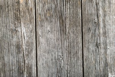 Eski ahşap doku, gri plakalar pütürlü yüzeyi