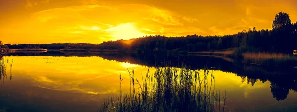 호수에 일몰 여름 풍경입니다. 아름 다운 오렌지 일몰 또는 일출 숲과 태양 빛의 반사와 평화로운 물 따뜻한 자연의 풍경. — 스톡 사진