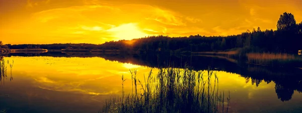 Sommerlandschaft mit Sonnenuntergang am See. wunderschöner orangefarbener Sonnenuntergang oder Sonnenaufgang über Wald und friedlichem Wasser mit Reflexion des Sonnenlichts, warme Landschaft in der Natur. — Stockfoto