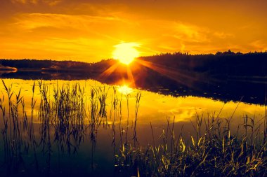 Gölde yaz peyzaj gün batımı ile. Güzel turuncu sundown veya gündoğumu orman ve huzurlu su güneş ışığın yansıması ile sahne doğada sıcak.