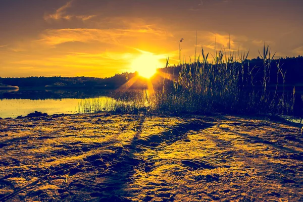 Paesaggio estivo con tramonto sul lago. Splendido tramonto arancione o alba sulla foresta e acqua tranquilla con riflesso della luce del sole, paesaggio caldo in natura . — Foto Stock