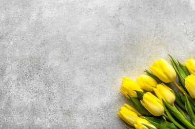 Sarı laleler, anneler günü veya kart için 8 Mart kadınlar günü için Paskalya arka plan bahar