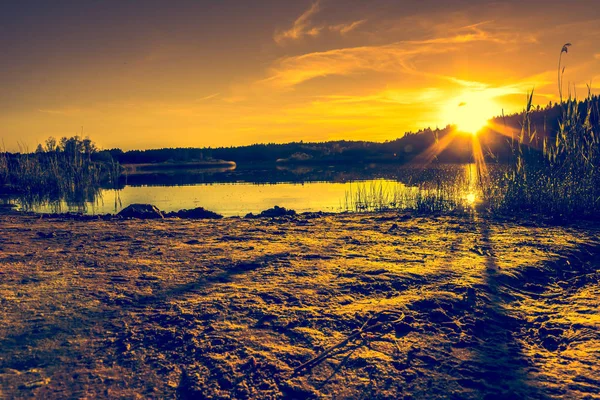 Paisaje de verano con puesta de sol en el lago. Hermosa puesta de sol naranja o salida del sol sobre el bosque y el agua pacífica con reflejo de la luz del sol, paisajes cálidos en la naturaleza . — Foto de Stock