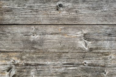 Eski ahşap doku, gri plakalar pütürlü yüzeyi