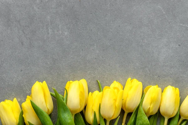 Τουλίπες την άνοιξη, Πάσχα λουλούδια, φόντο ημέρα των γυναικών ή μητέρες ημέρα κάρτα — Φωτογραφία Αρχείου