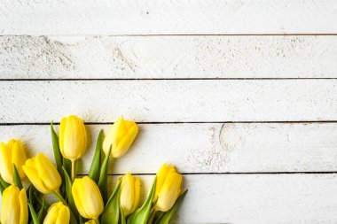 Sarı laleler, anneler günü için Paskalya arka plan veya Yıldönümü hediye veya 8 Mart kadınlar günü için kart bahar