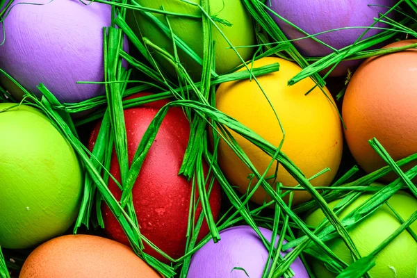 快乐复活节彩蛋在草, 彩色彩蛋背景 — 图库照片