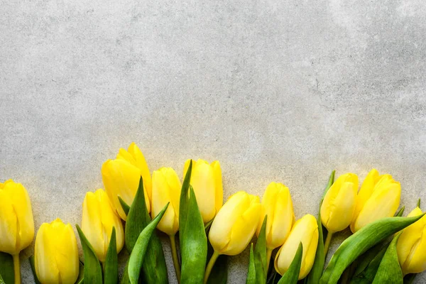 Κίτρινο τουλίπες, άνοιξη, Πάσχα φόντο ή επέτειος δώρο για την ημέρα της μητέρας ή κάρτα για την ημέρα της γυναίκας στις 8 Μαρτίου — Φωτογραφία Αρχείου