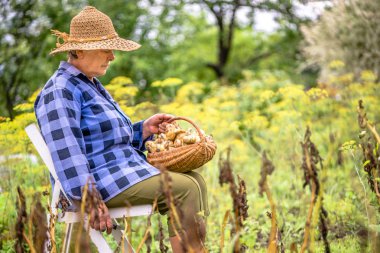 Çiftçi pazarı, biyo bahçesinden çiftlik taze organik ürünler için hasat sebzeler ile bahçede kadın kıdemli