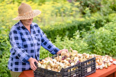 Çiftlik tabloyla sebze, çiftçi pazar üretmek organik tarım ile