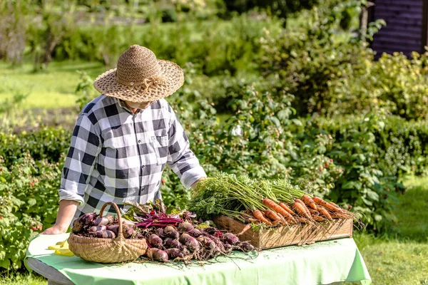 農家の新鮮な有機野菜市場 女性販売農産物 地元の農業の概念 — ストック写真