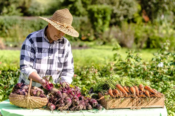 Local farmer market with produce on table, woman selling vegetables from organic farming