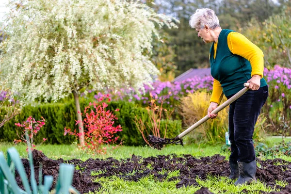 Женщина-фермер, работающая в саду, садовник, удобряющая почву натуральным удобрением, органическое земледелие — стоковое фото