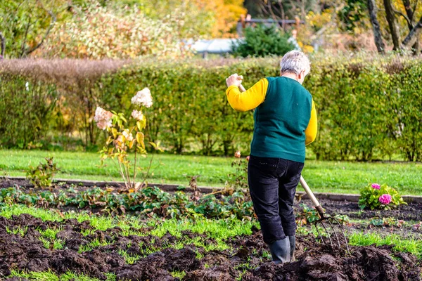 Gärtnerin, die im Garten arbeitet oder Bäuerin, die den Boden mit natürlichem Dünger düngt, ökologisches Anbaukonzept — Stockfoto