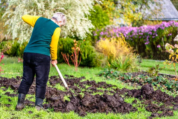 Rolnik w ogrodzie lub ogrodnik, praca na farmie. Nawożenie gleby z nawozem naturalnym, koncepcja rolnictwa ekologicznego — Zdjęcie stockowe