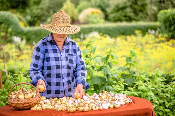 テーブルの上の食材 農家市場 地元の農業の概念のための庭からファーム新鮮な有機野菜と庭の上級農民 — ストック写真
