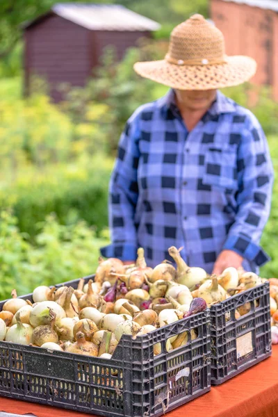 Mesa de la granja con verduras, mercado de agricultores con productos, personas que venden alimentos orgánicos al aire libre —  Fotos de Stock