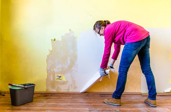 Woman repairing a wall in apartment, concept of home renovating