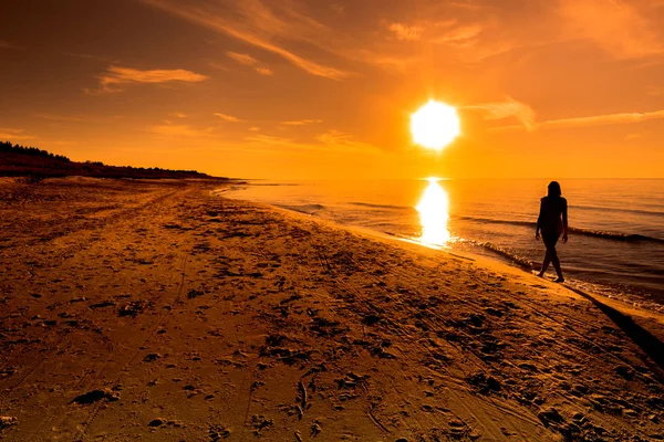 Сансет Бич Женщина Идущая Морю Солнце Летний Фон Балтийское Море — стоковое фото