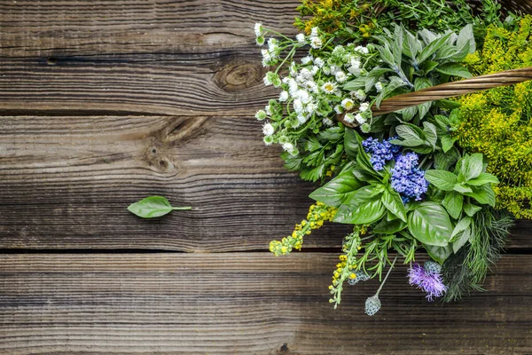 Gesorteerde tuin verse kruiden op houten achtergrond — Stockfoto