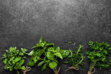 Bahçeden taze bitkiler getirdim. Nane, fesleğen, maydanoz ve koyu arkaplanda biberiye otu..