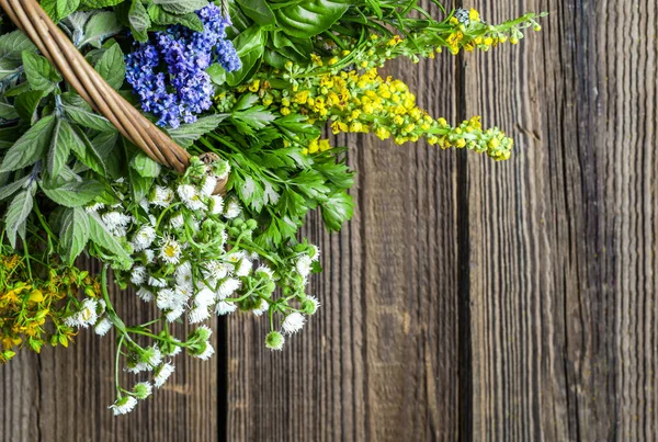 Verscheidenheid aan kruiden, vers tuinkruid op houten tafel — Stockfoto