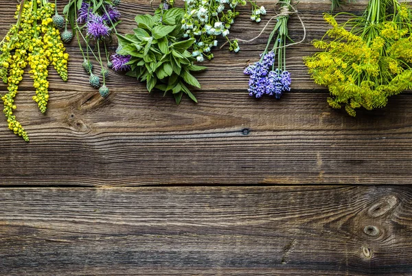 Kiválasztott gyógynövények a kertből, fából készült asztalon. Friss fűszernövény fán, felülnézetből — Stock Fotó