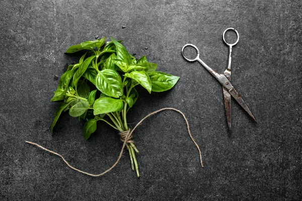 Green fresh basil bunch on dark background