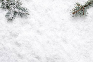 Kar ve noel ağacı dallı beyaz Noel arkaplanı, düz uzanma, üst manzara