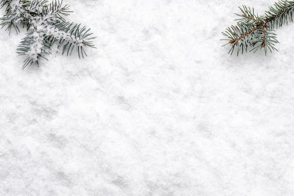 Karácsonyi fehér háttér hó és karácsonyfa ág, lapos laikus, felső nézet — Stock Fotó