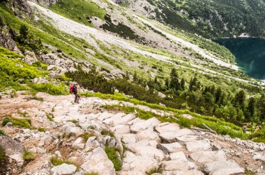 TATRA, POLAND - 4 Temmuz 2015 'te Polonya' nın Tatra Milli Parkı 'ndaki Rysy' de Morskie Oko ve Czarny Staw 'a dağ yolunda bir gezgin. Tuvalet kağıdı. Popüler bir tatil mekanıdır ve çok popülerdir.