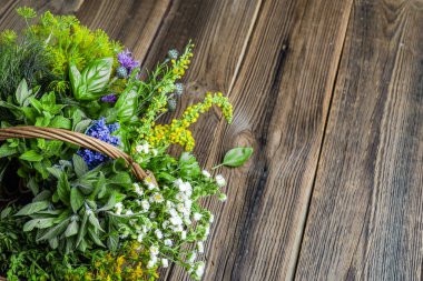 Tahta masadaki bahçeden taze bitkiler. Sepette çeşitli otlar var..