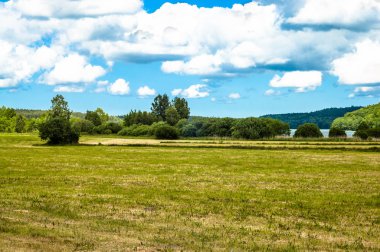 Landscape with fields and meadows at summer. Idyllic rural landscape and agricultural. Blue sky with clouds and sunny day.