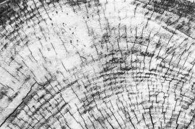 Siyah ve beyaz ahşap desenli arka plan ya da ahşap doku