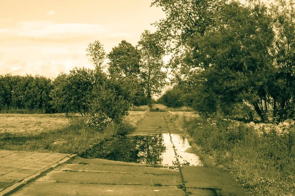 Vintage φωτογραφία του φυσικού τοπίου. Τοπίο με δρόμο, δέντρα και λιμνούλα βροχής το καλοκαίρι. Ειδυλλιακό αγροτικό τοπίο και αγροτική, με vintage vignette αποτέλεσμα. — Φωτογραφία Αρχείου