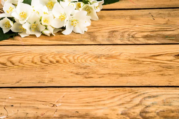 Jasmine blossom, spring and summer flowers on wooden background — 스톡 사진