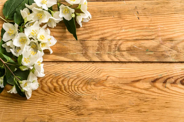 Jasmine blossom, spring and summer flowers on wooden background — 스톡 사진