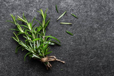 Green fresh rosemary plant on dark background