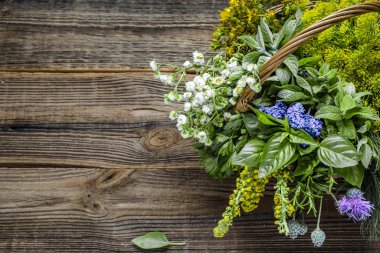 Various herbs from the garden on wooden table. Fresh herb bunch.