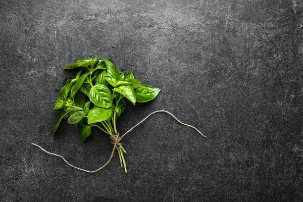 Erbe appena raccolte di basilico fresco, erbe verdi del giardino — Foto Stock