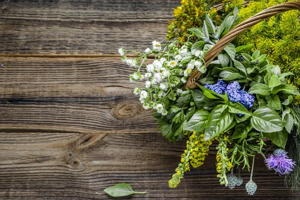 Różne zioła z ogrodu na drewnianym stole. Bukiet świeżych ziół. — Zdjęcie stockowe