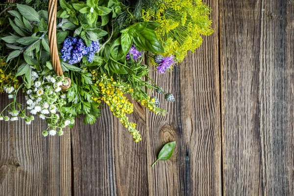 Különböző fűszernövények a fából készült asztalról. Friss fűszernövény fán. — Stock Fotó