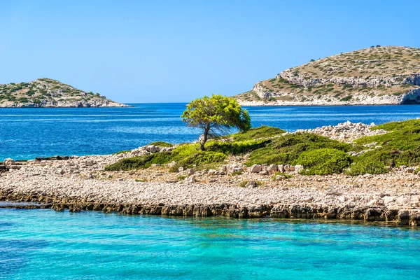 Malowniczy widok na wyspy w morzu. Śródziemnomorska plaża z kamieniami i samotnym drzewem. Podróże wakacyjne, Archipelag Kornati, Dalmacja, Chorwacja, Europa. — Zdjęcie stockowe
