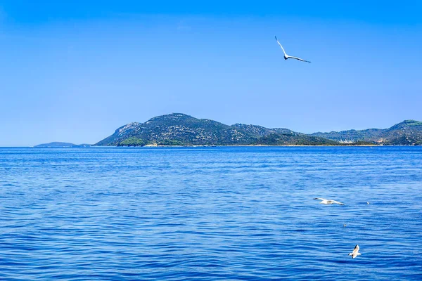 Adriatic Sea Croatia Scenic View Cruise Adriatic Sea Vacation Travel — Stock Photo, Image
