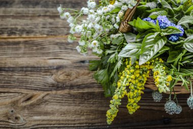 Bitki koleksiyonu, ahşap arka planda taze bahçe otları..