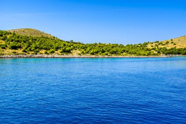 Yeşil çam ağaçları ve kayalık plajlı Adriyatik kıyıları, Akdeniz, Hırvatistan, Dalmaçya