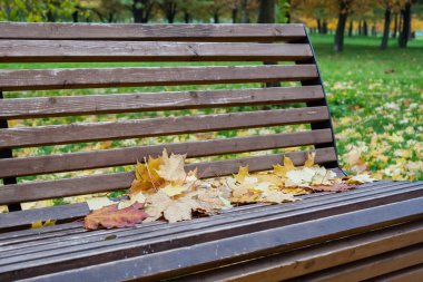 Kent parkta düşmek