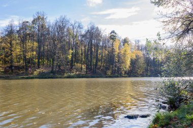 Güneşli bir sonbahar günde bir şehir göl'manzara