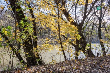 Güneşli bir sonbahar günde bir şehir göl'manzara